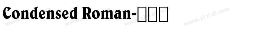 Condensed Roman字体转换